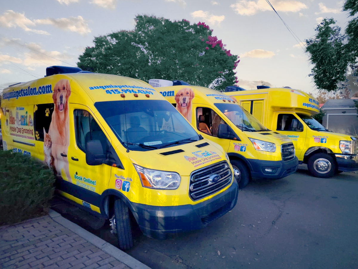 Our Premium Vans
