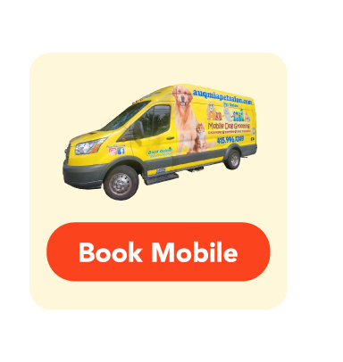 Button to Book Mobile