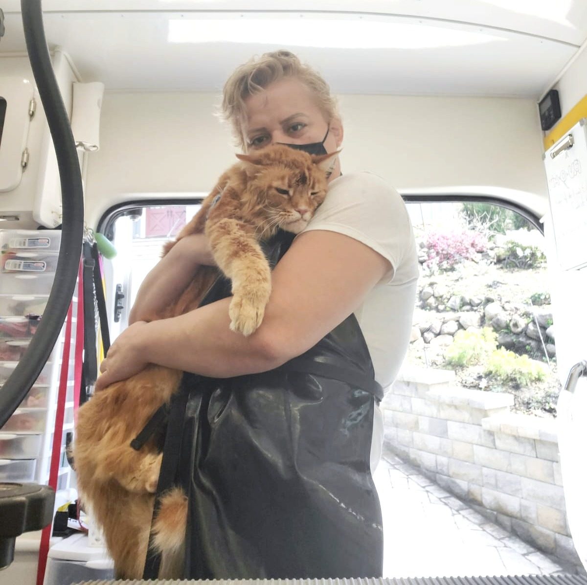 AU-Q-MIA Pet Salon mobile grooming