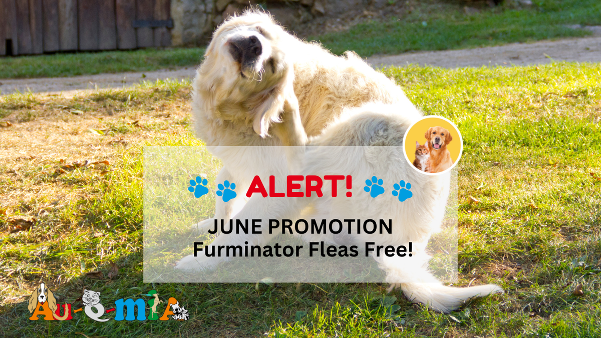 June-Promo-Free-Flea