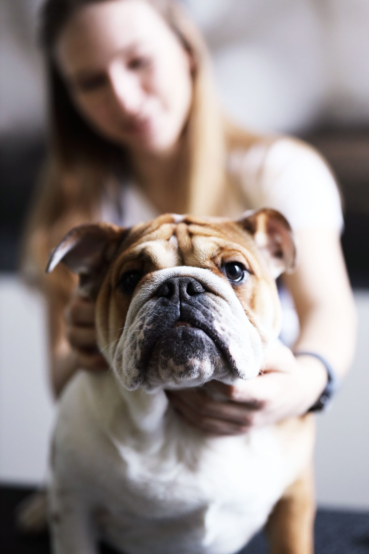 Owner with a dog
