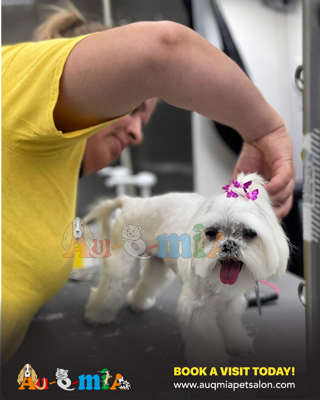 How to Prepare Your Dog for a Grooming Session