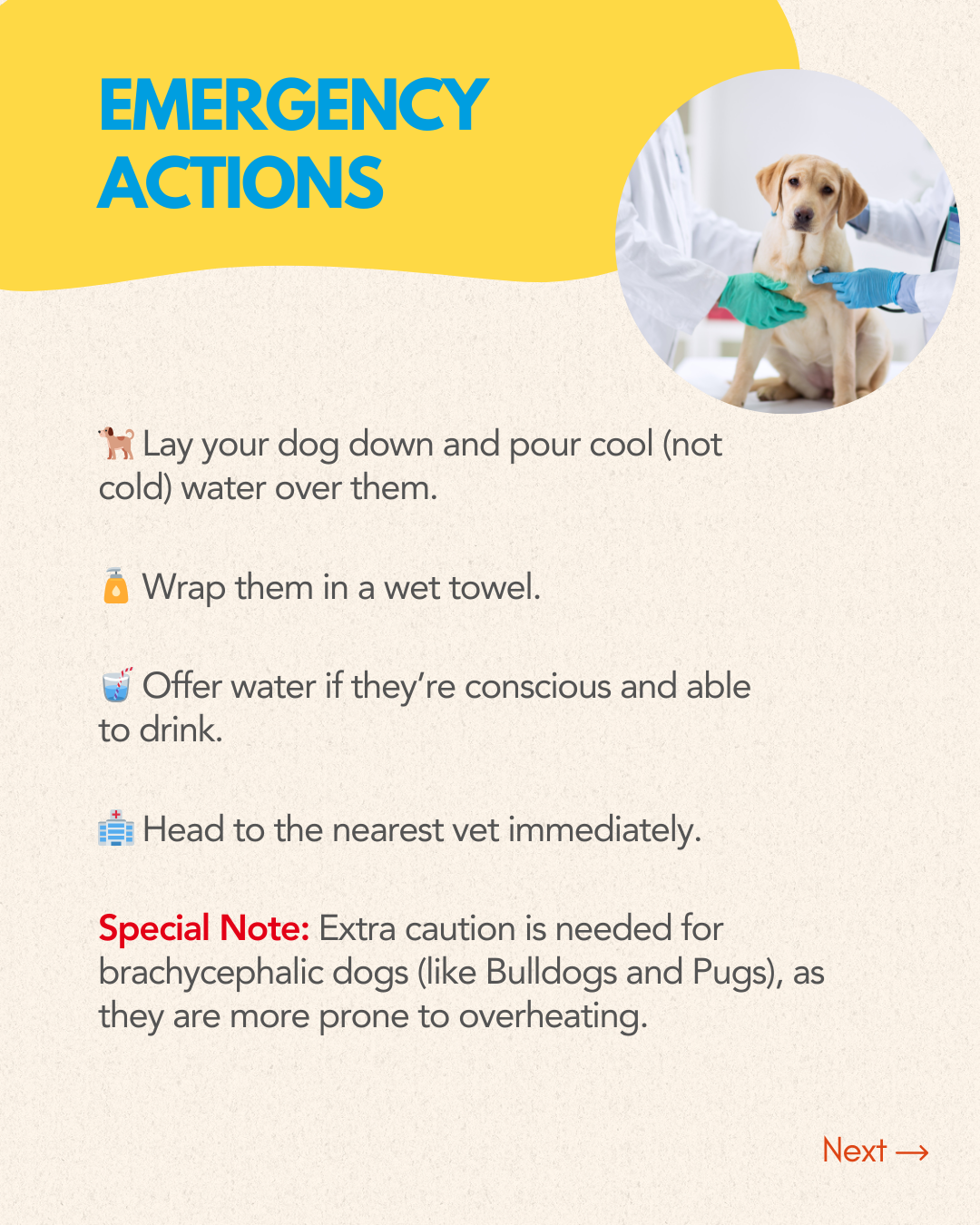 AU-Q-MIA Pet Salon mobile grooming