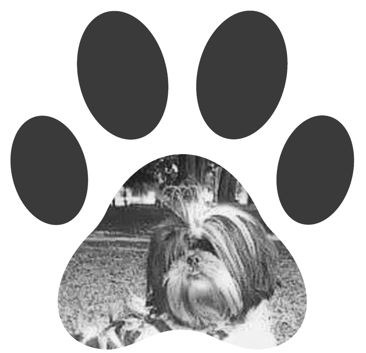 AU-Q-MIA Pet Salon mobile grooming
