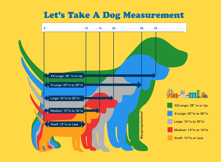 How to measure a dog, size chart from Small to Giant